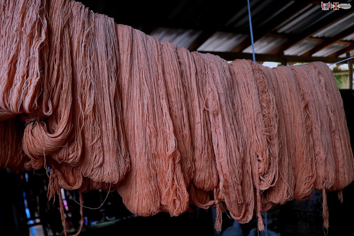 Manojos de fibras textiles teñidas en tonos rosa/coral colgando de una cuerda para secarse, parte del proceso de teñido natural